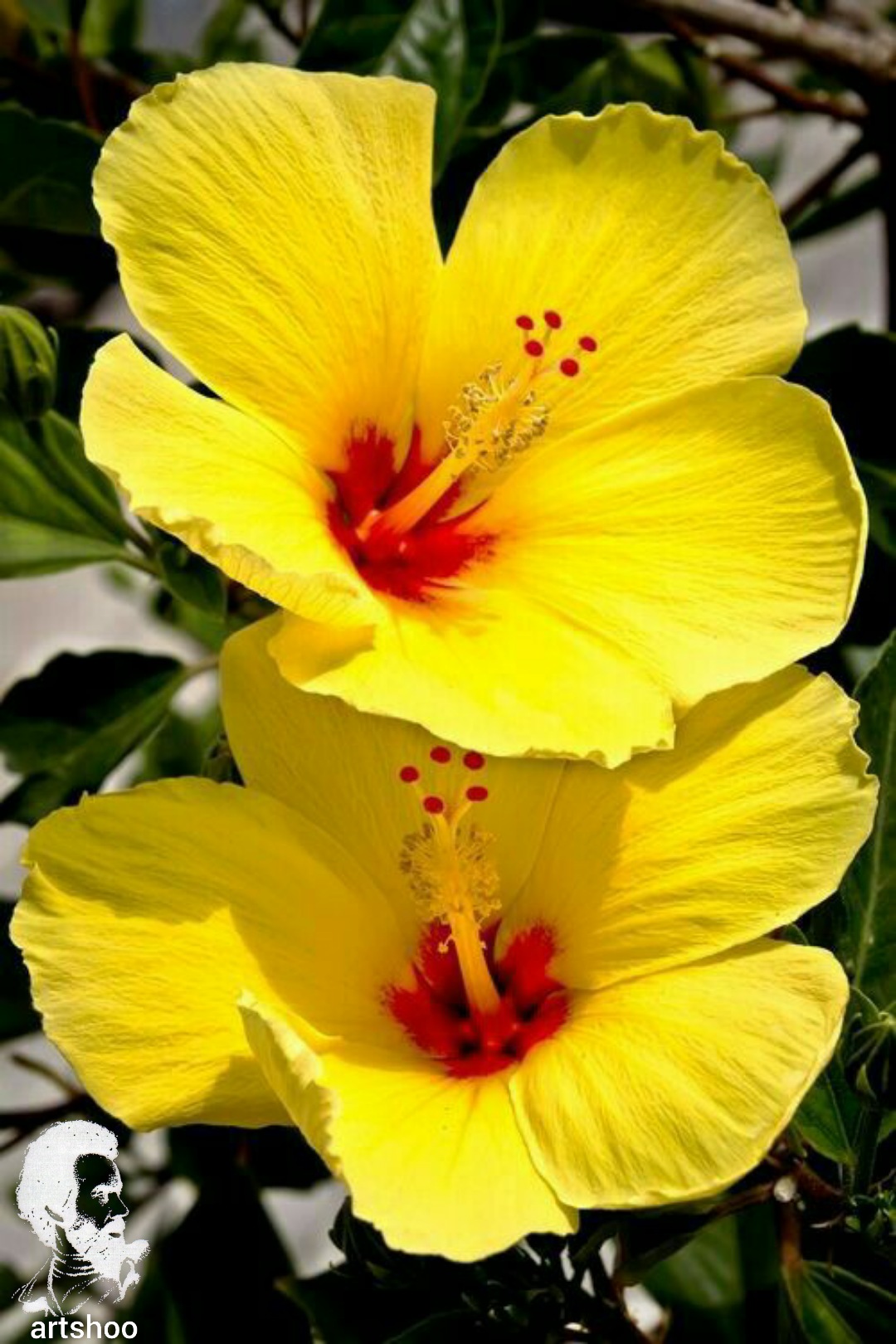 آموزش نقاشی رنگ روغن